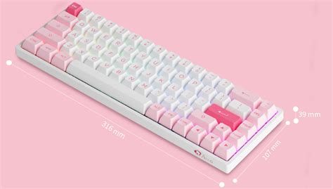 Buy Akko 3068B Plus Prunus RGB Hot Swap Wireless CS Jelly Pink