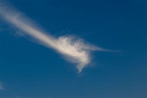 Free Images Birch Clouds Sky Daytime Cloud Atmosphere Cumulus