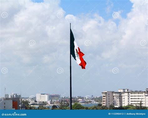 Mexican Pride in the National Flag Stock Image - Image of eagle ...