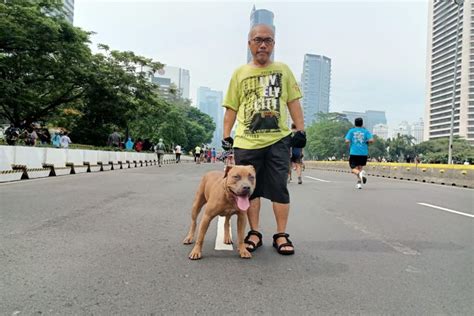 Foto Larang Bawa Hewan Ke Car Free Day Kadishub DKI Dinilai