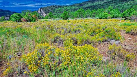 La Febr Camp D Esparnellac Baix Camp Jobove Reus Flickr