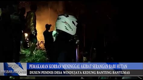 Pemakaman Korban Meninggal Dunia Akibat Serangan Babi Hutan Youtube