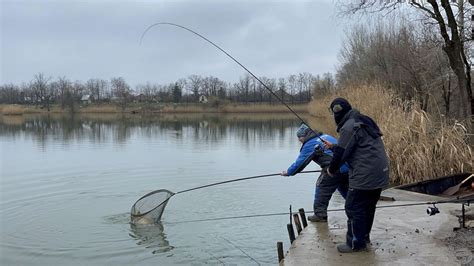 Feederový lov kaprů ve studené vodě Velcí kapři před studenou frontou