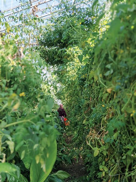 Opinion: The Untold Stories of Local Ag | Good Times