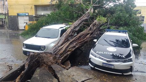 Vídeo Tempestade derruba árvores e alagamento causa transtornos no