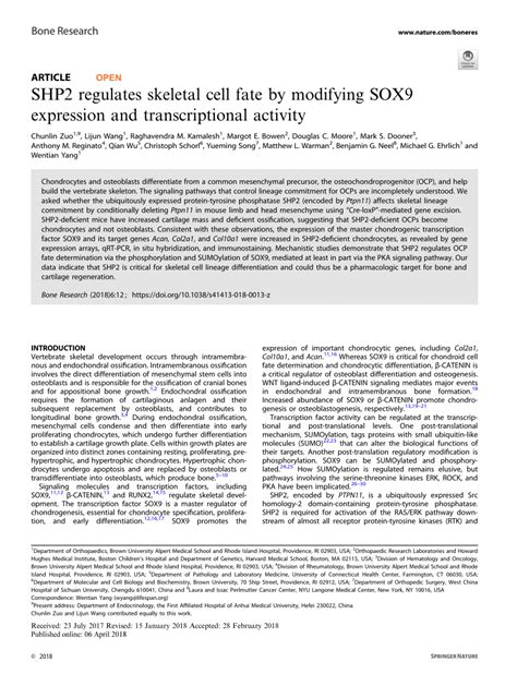 Pdf Shp Regulates Skeletal Cell Fate By Modifying Sox Expression