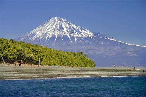 静岡県でおすすめの観光名所を厳選 東海lovers