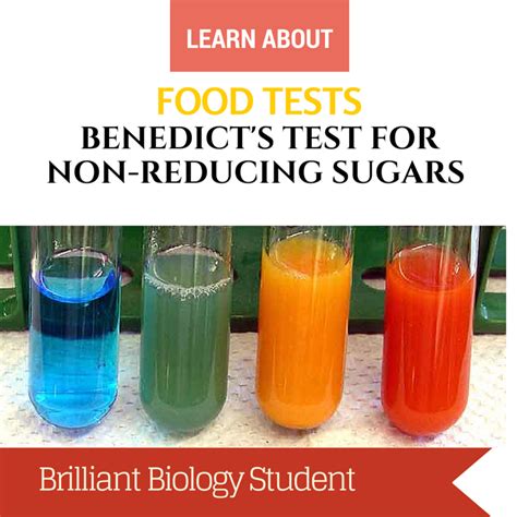 Biology Lab Report Food Tests Brilliant Biology Student