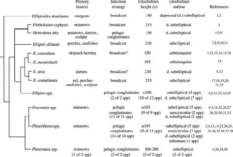 Systematic relationships among host use, host infection strategies ...