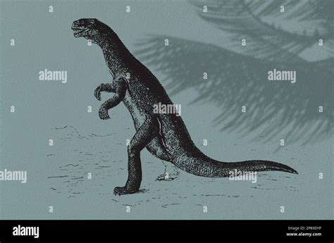 Dinosaur vintage engraved illustration Stock Photo - Alamy