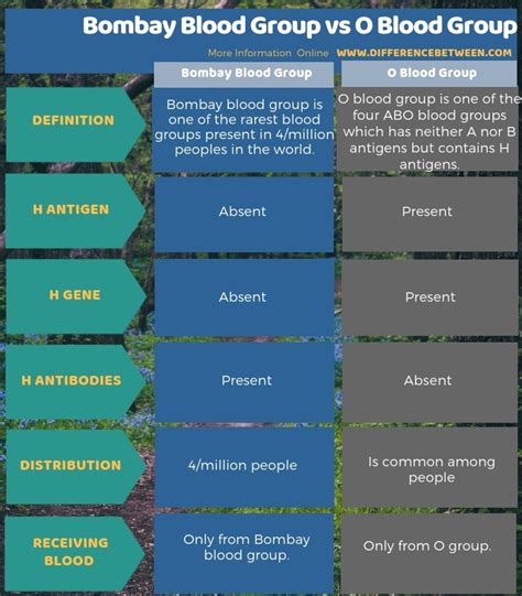 Difference Between Bombay Blood Group and O Blood Group | Compare the ...