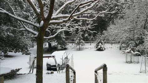 Gaireb L M A Tarragona I La Cota De Neu Comen A A Baixar