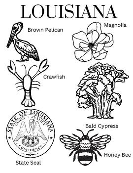 Louisiana State Symbols by Tanyell Ellis | TPT