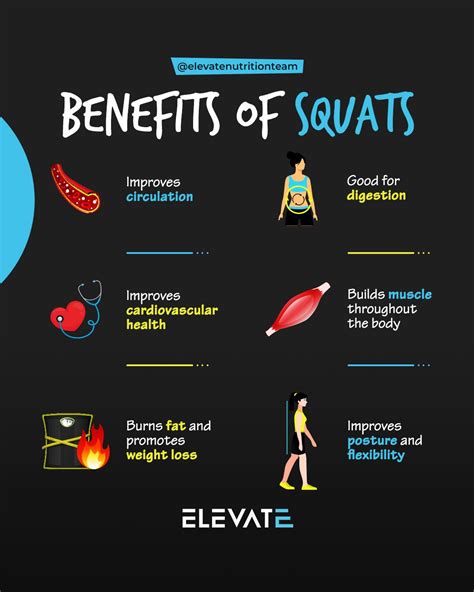 The Squat Guide Elevate Nutrition Healthify Me You