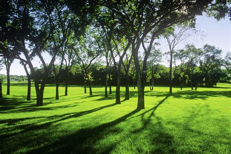 Ugly Ass Parks That Look Fucking Disgusting Without A Confederate Statue