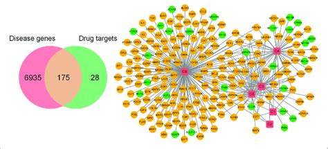 Screening Of Therapeutic Targets And Construction Of Its