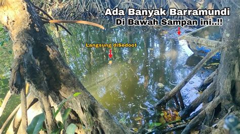 Awalnya Ragu Padahal Di Bawah Sampan Jadi Sarang Kakap Putih Mancing