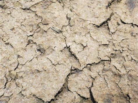 Selective Focus Of Close Up Photo Of Dry And Barren Soil Stock Photo