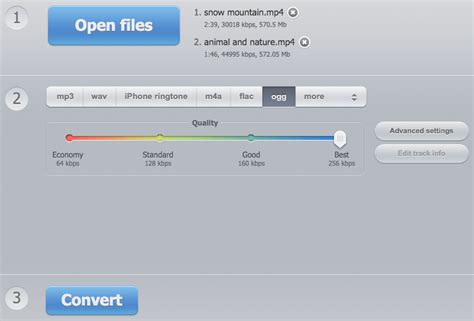 Best 5 Ways To Convert MP4 To OGG On Mac And Windows