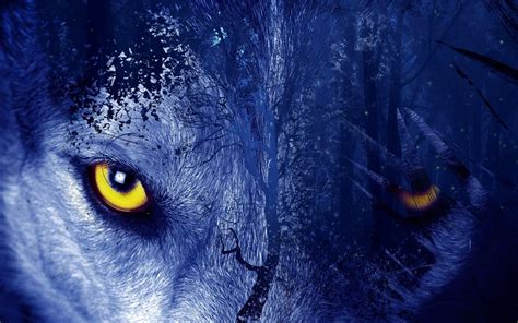 Wolf Eyes Wallpapers - Top Free Wolf Eyes Backgrounds - WallpaperAccess