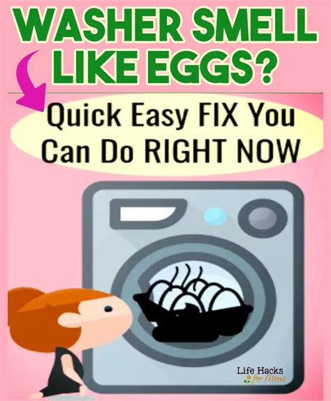 Washing Machine Smells Like Rotten Eggs Heres The Solution