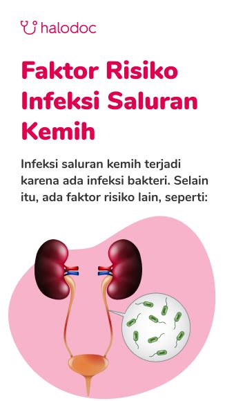 Benarkah Infeksi Saluran Kemih Harus Selalu Diatasi Dengan Antibiotik