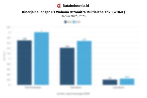 Data Kinerja Keuangan Wahana Ottomitra Multiartha Womf Pada