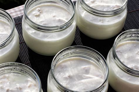 Milchkefir Selber Machen Eine Einfache Anleitung Natural Kefir