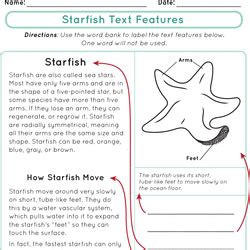 Printable Nonfiction Text Feature Worksheets | Education.com ...