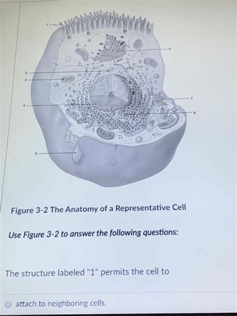 Solved Pointment 2 3 WU Figure 3 2 The Anatomy Of A Chegg