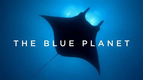 Blue Planet Seas Of Life Hbo Max Flixable