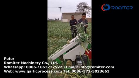 Small Garlic Harvester With Root And Stem Cutting Function Youtube