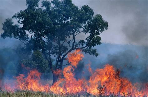 Australia Bush Fires Set to Continue - Travel Begins at 40