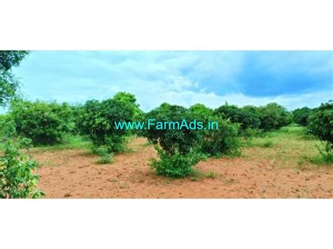 1 Acre 12 Gunta Mango Farm For Sale Near Kolar Srinivasapura Road Kolar