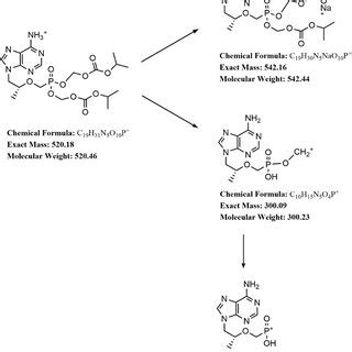 Typical Selective Ion Monitoring Chromatograms Of R Tenofovir