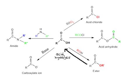 As Chemistry 264 Carboxylic Acid Derivatives Diagram Quizlet