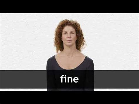 FINE definition and meaning | Collins English Dictionary 