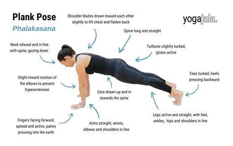 Flow Into Wellness: A Guide To Vinyasa Yoga For Beginners