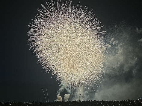 【河川敷で大迫力の花火を】第48回江戸川区花火大会に参加しよう！4年ぶりの開催！｜つなげーと 【掲載サークル数no1（36626