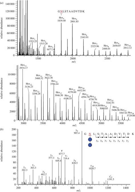 Deconvoluted MS Spectra Show That Peptide GNLSTAADVTDK From AtaC Is