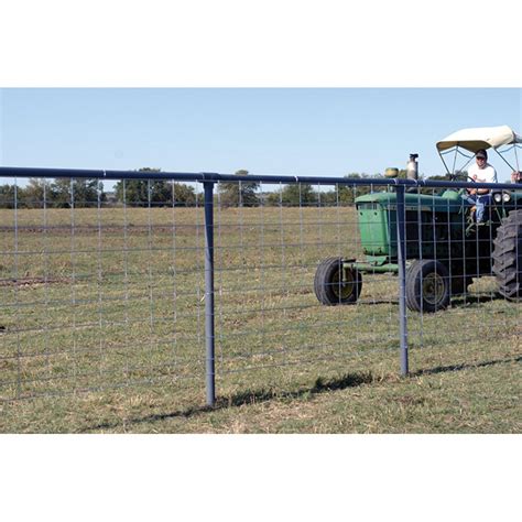 16 X 50 Oklahoma Steel Cattle Panel Gebos