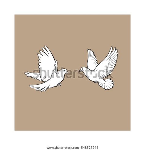 Two Free Flying White Doves Sketch Stock Vector Royalty Free 548527246