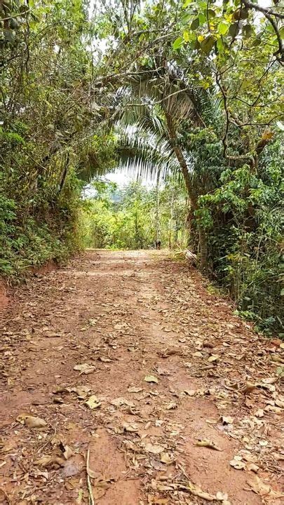 Fazenda S Tio Na Rodovia Br Sn Barreira Do Triunfo Em Juiz De