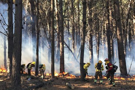 Onemi Mantiene Alerta Roja En Comuna De Valparaíso Por Incendio