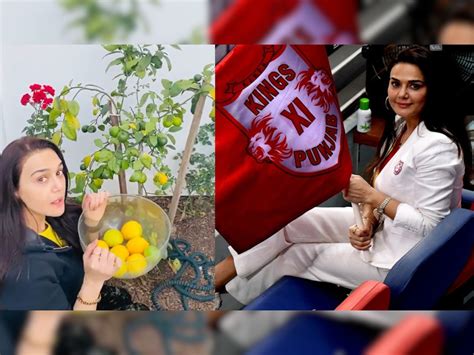 See What Kxip Co Owner Preity Zinta Is Doing In Her Garden In Los