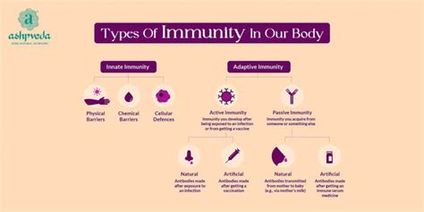 Types Of Immunity In Our Body Ashpveda Blog