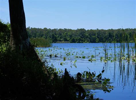 Redwater Lake Photograph by Warren Thompson - Fine Art America