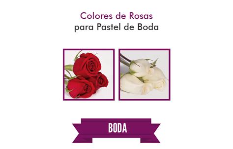 Pasteles de La Zarza para Eventos XV años Bautizos Bodas