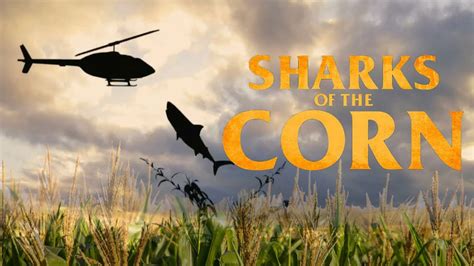 My Brain Hurts Sharks Of The Corn YouTube