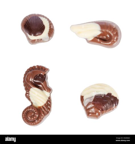 Belgian chocolate seashells hi-res stock photography and images - Alamy